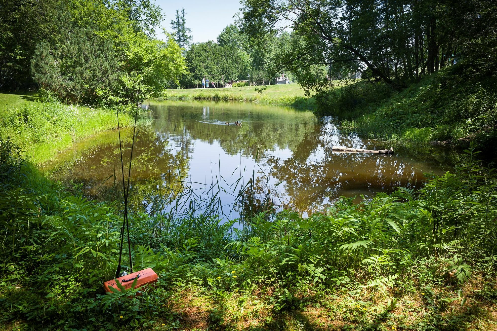 Bluebird Cady Hill Lodge Stowe Eksteriør billede